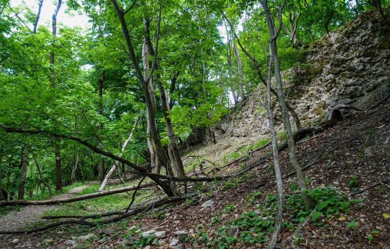 Oroszlánkő - Csáki-Vár, Hungary